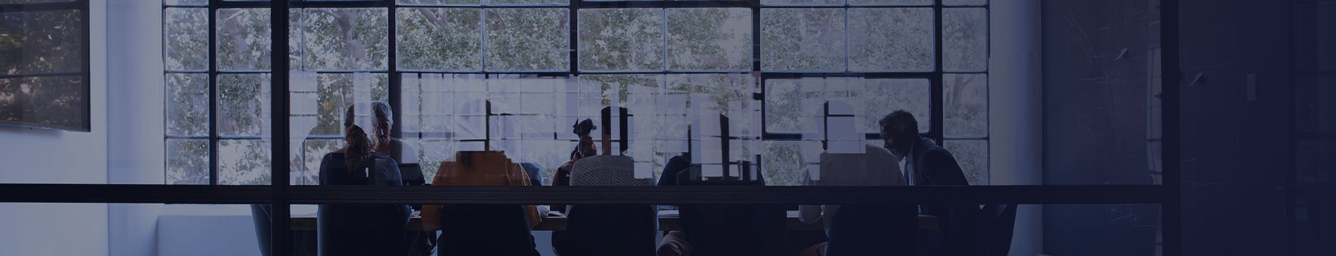 השירותים שלנו